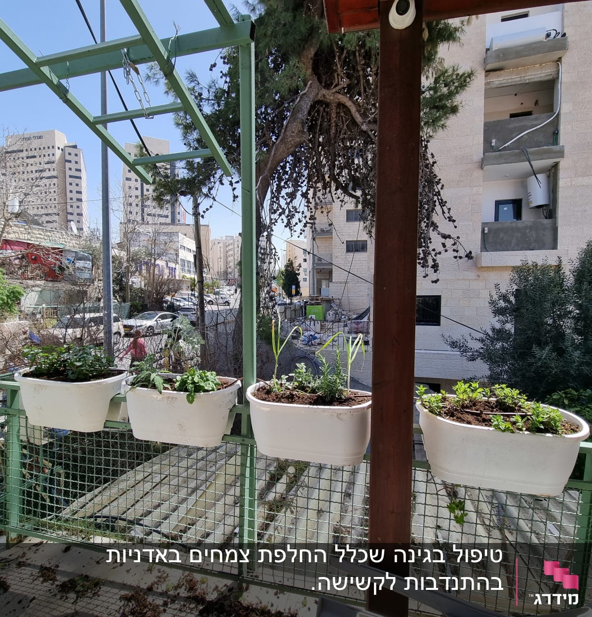 עציצים עם צמחים ירוקים על מעקה מרפסת